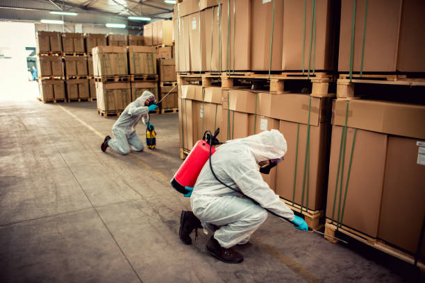Best Termite Control Services  in Lauderhill, FL