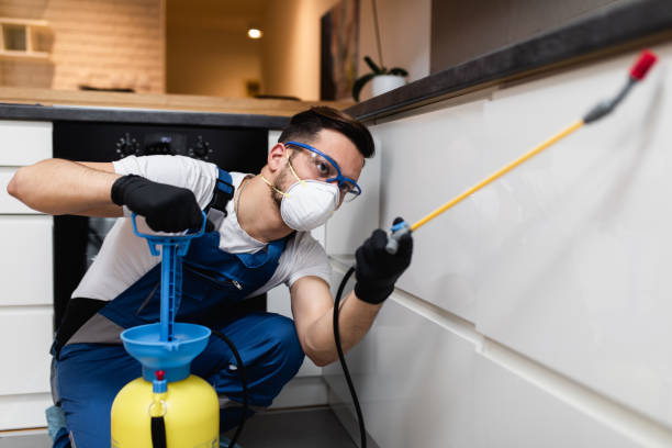 Best Mosquito Control Services  in Lauderhill, FL