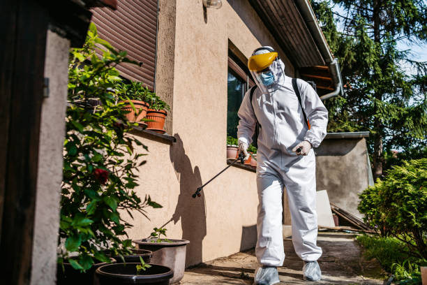 Best Mosquito Control Services  in Lauderhill, FL