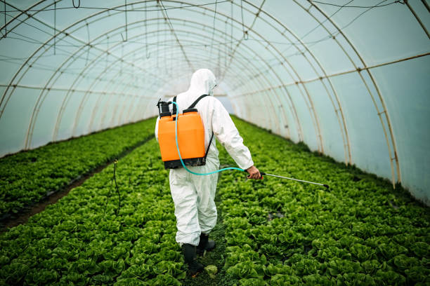 Best Best Pest Control Companies  in Lauderhill, FL