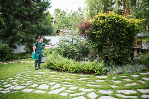 Professional Pest Control in Lauderhill, FL