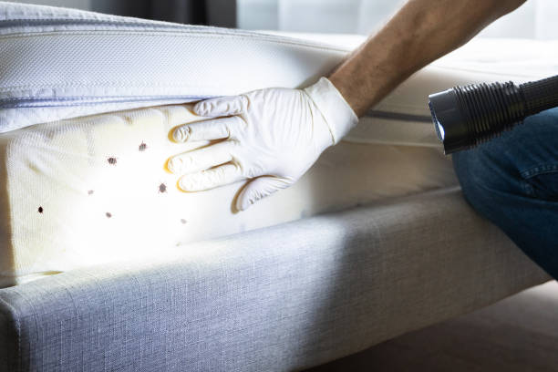 Best Cockroach Control Services  in Lauderhill, FL