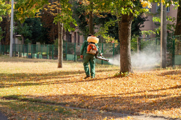 Best Emergency Pest Control  in Lauderhill, FL