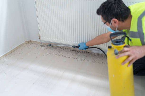 Best Bed Bug Extermination  in Lauderhill, FL